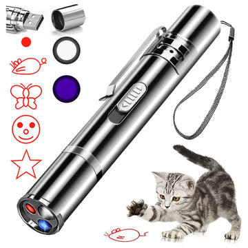 Laser Pointer
